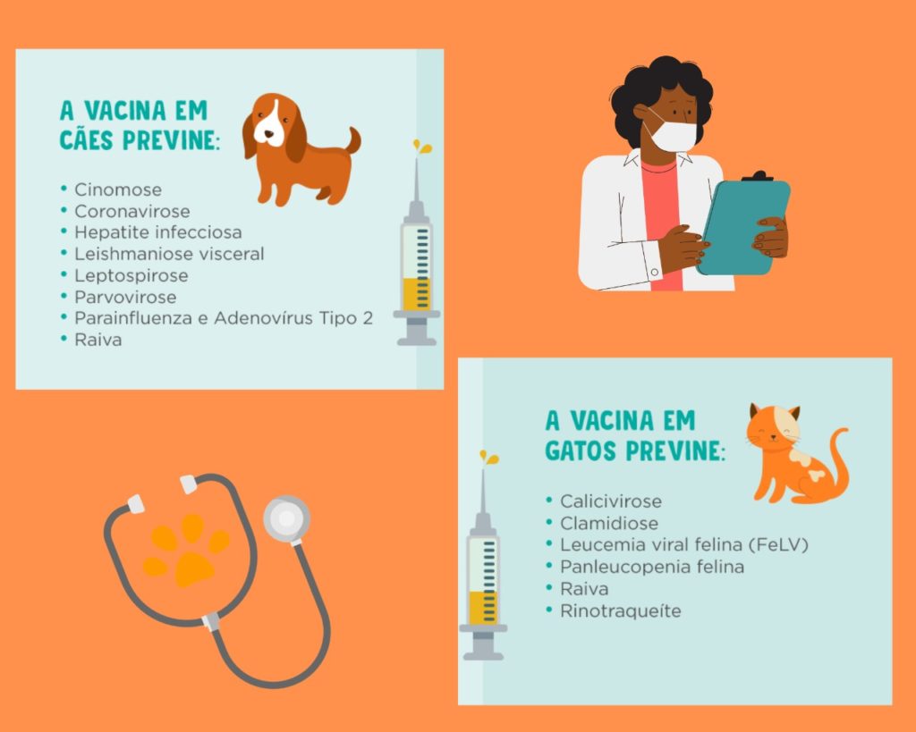 Foto desenho falando sobre vacina em cães e gatos
